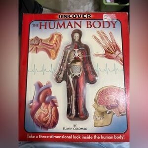 Uncover the Human Body (Uncover It) by Columbo, Luann, Columbo, Jennifer (2004)